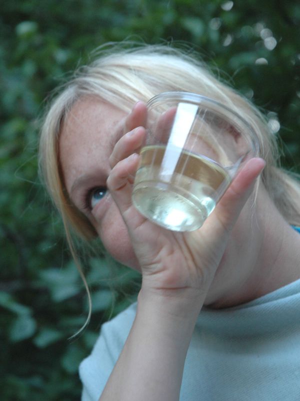 2009_07_14_-_Nikon_D70_-_002.JPG