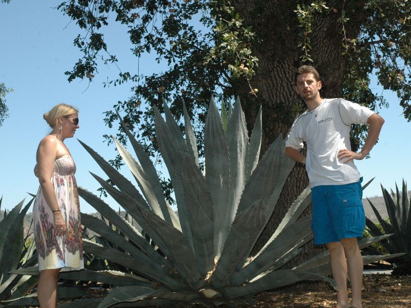 2009_08_26_-_Nikon_D70_-_079.JPG