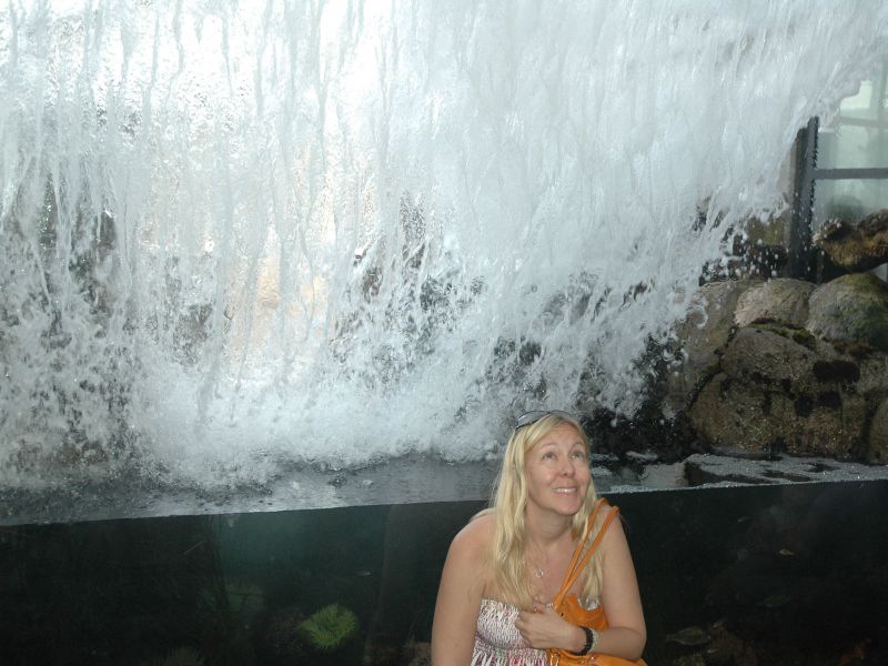 2009_08_28_-_Nikon_D70_-_067.JPG
