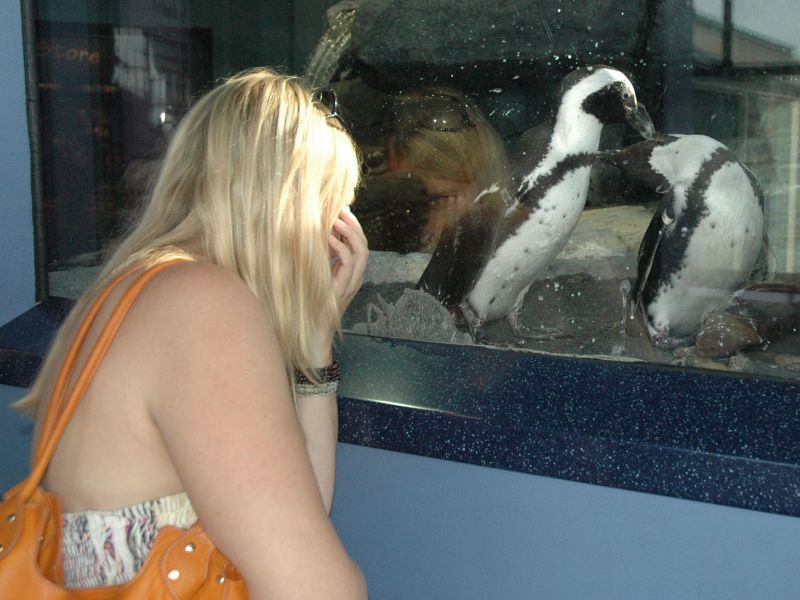 2009_08_28_-_Nikon_D70_-_121.JPG