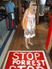 2009_08_28_-_Nikon_D70_-_003.JPG