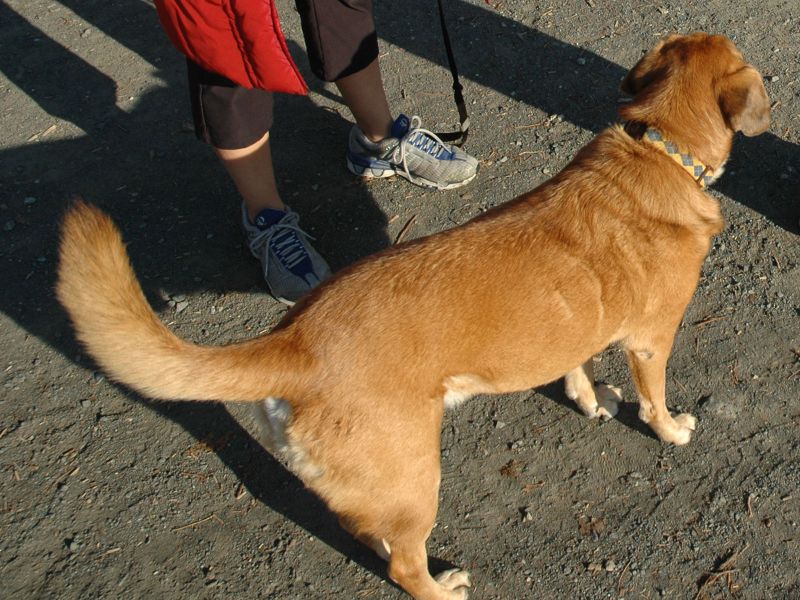 2009_11_09_-_Nikon_D70_-_008.JPG