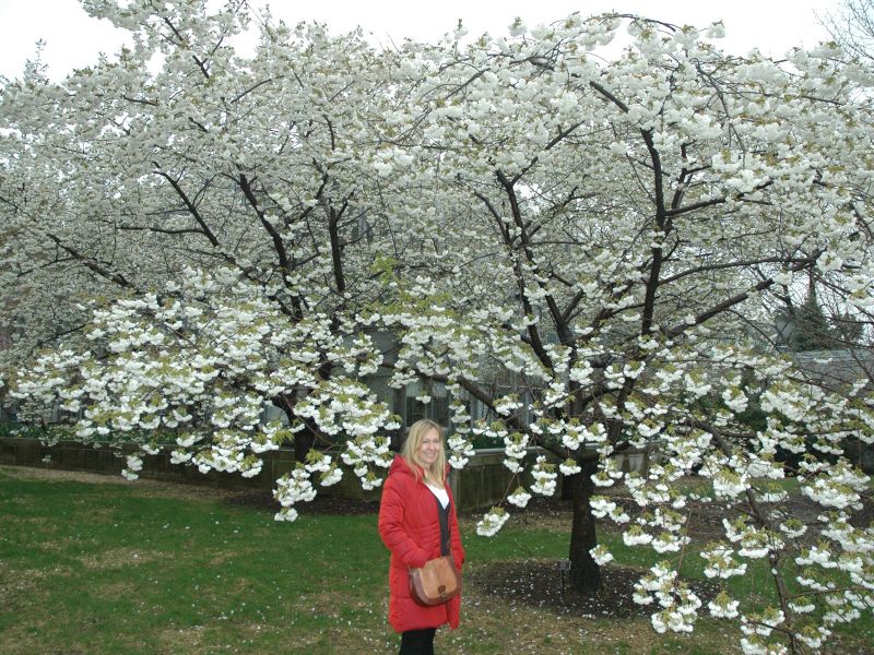 2011_04_23_-_Nikon_D70_-_165.JPG