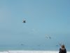 2011_05_20_-_106_-_Nikon_D70.JPG