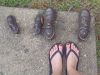2011_07_02_-_025_-_Olympus_6020.JPG