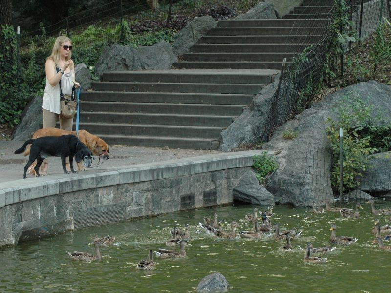 2011_09_03_-_023_-_Nikon_D70.JPG