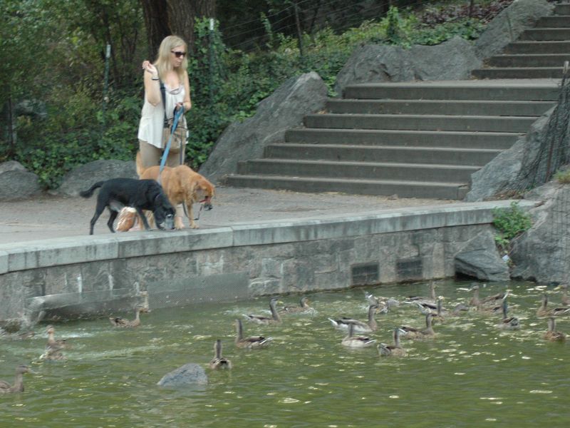 2011_09_03_-_024_-_Nikon_D70.JPG