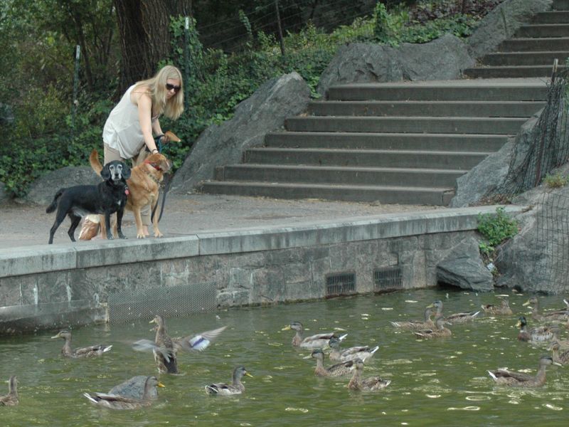 2011_09_03_-_025_-_Nikon_D70.JPG