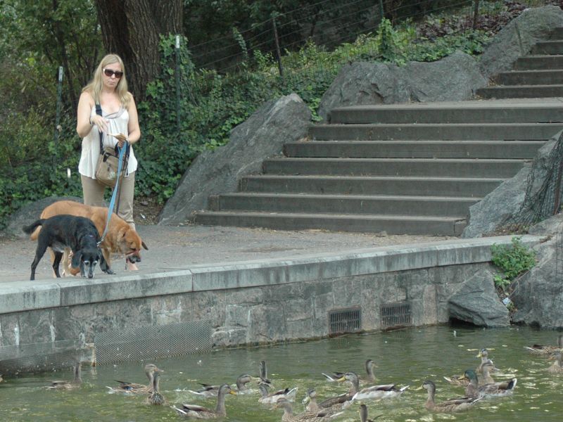 2011_09_03_-_028_-_Nikon_D70.JPG