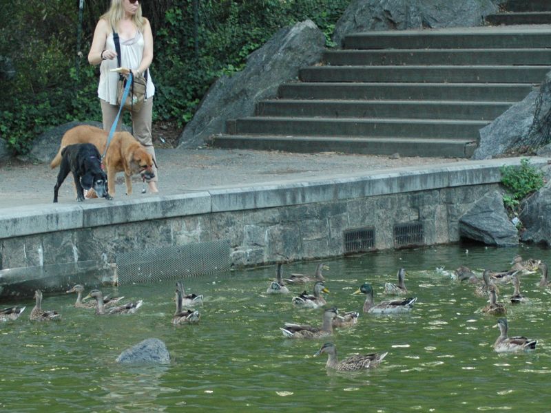 2011_09_03_-_030_-_Nikon_D70.JPG