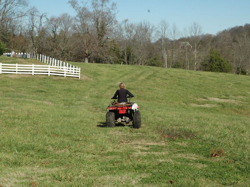 2011_11_25_-_060_-_Nikon_D70.JPG