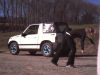 2011_11_25_-_005_-_HunterCAM.JPG