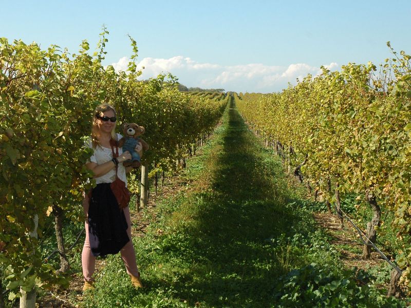 2012_10_20_-_040_-_Nikon_D70.JPG