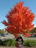 2012_10_20_-_020_-_Nikon_D70.JPG