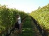 2012_10_20_-_062_-_Nikon_D70.JPG
