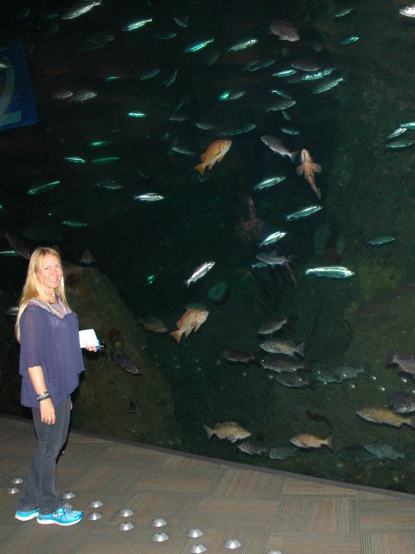 2014_09_12_-_238_-_Nikon_D70.JPG